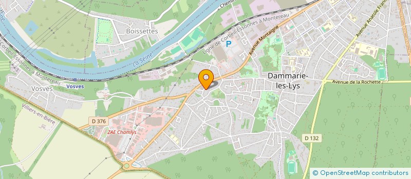 localisation de l'entreprise MONSIEUR LAURENT DELANNAY à DAMMARIE-LES-LYS