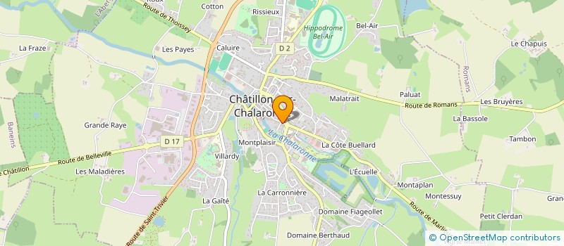 localisation de l'entreprise MONSIEUR LAURENT DELORT à CHATILLON-SUR-CHALARONNE