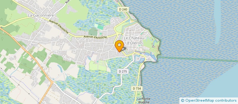 localisation de l'entreprise MONSIEUR LAURENT DESAGE  LE CHATEAU-D'OLERON