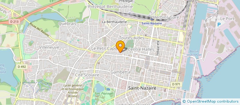 localisation de l'entreprise MONSIEUR LAURENT DOMINGOS  SAINT-NAZAIRE