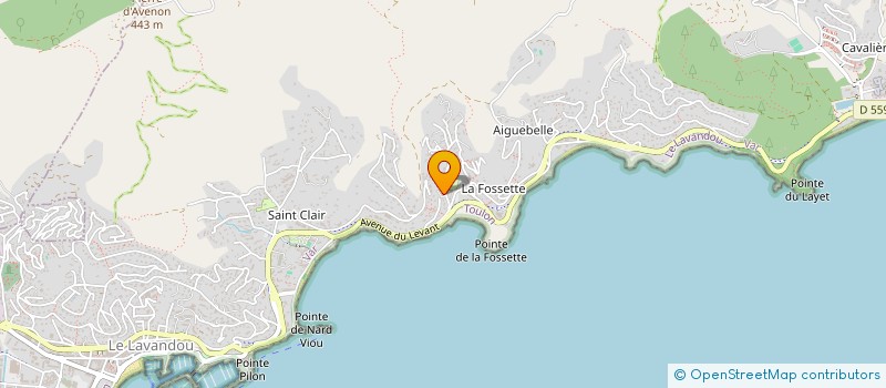 localisation de l'entreprise MONSIEUR LAURENT DUTRIEZ à LE LAVANDOU