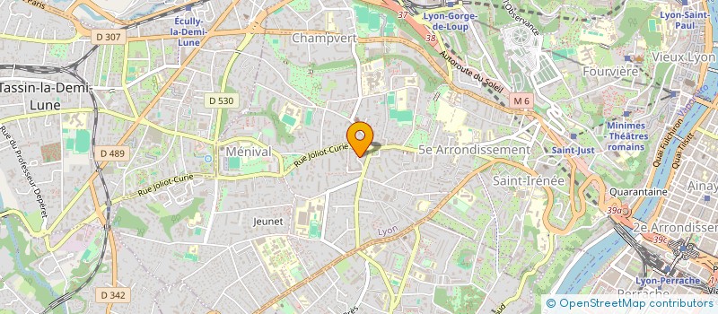 localisation de l'entreprise MONSIEUR LAURENT FOURES à LYON