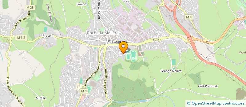 localisation de l'entreprise MONSIEUR LAURENT GAILLARD  ROCHE-LA-MOLIERE