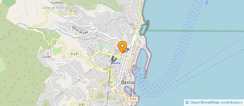 localisation de l'entreprise MONSIEUR LAURENT GUERINI à BASTIA