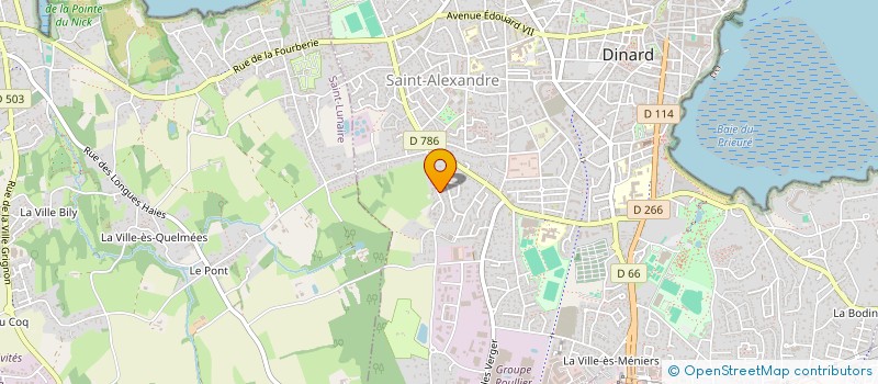 localisation de l'entreprise MONSIEUR LAURENT GUESDON  DINARD