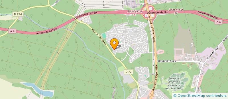 localisation de l'entreprise MONSIEUR LAURENT KLEMM  SAINT-AVOLD