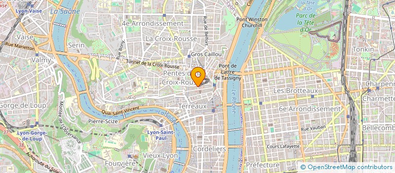 localisation de l'entreprise MONSIEUR LAURENT LANGLOIS  LYON