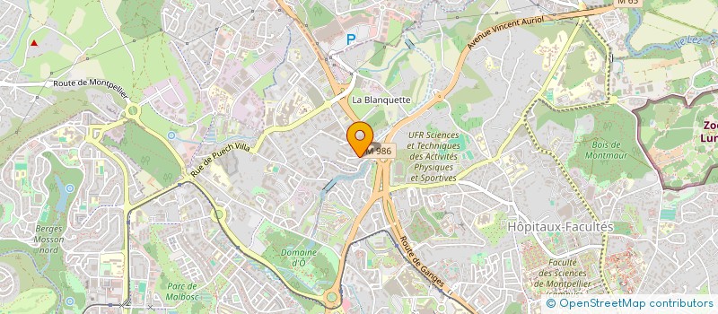 localisation de l'entreprise MONSIEUR LAURENT LECOIN à MONTPELLIER