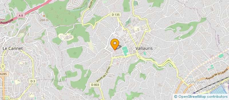 localisation de l'entreprise MONSIEUR LAURENT LECOURT à VALLAURIS