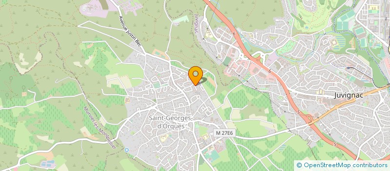 localisation de l'entreprise MONSIEUR LAURENT LEUCAT  SAINT-GEORGES-D'ORQUES