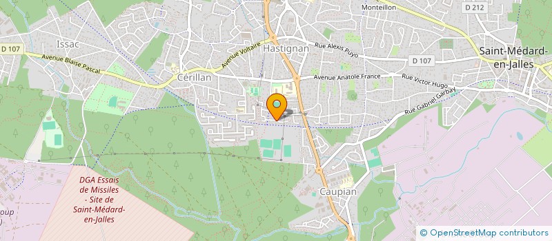 localisation de l'entreprise MONSIEUR LAURENT LEVASSORT  SAINT-MEDARD-EN-JALLES