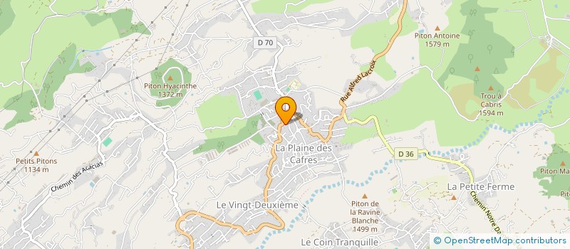 localisation de l'entreprise MONSIEUR LAURENT LI TING FOON  LE TAMPON