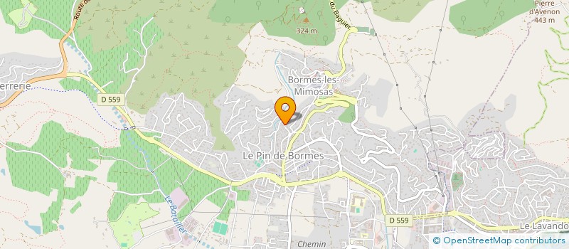 localisation de l'entreprise MONSIEUR LAURENT LOOSVELDT  BORMES-LES-MIMOSAS