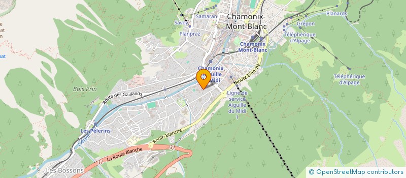 localisation de l'entreprise MONSIEUR LAURENT MALEZIEUX  CHAMONIX-MONT-BLANC