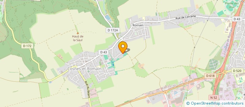 localisation de l'entreprise MONSIEUR LAURENT MALISAN  COSNES-ET-ROMAIN