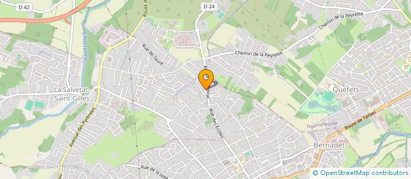 localisation de l'entreprise MONSIEUR LAURENT MARENGO à PLAISANCE-DU-TOUCH
