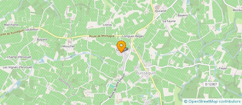 localisation de l'entreprise MONSIEUR LAURENT MARZIN  PUISSEGUIN