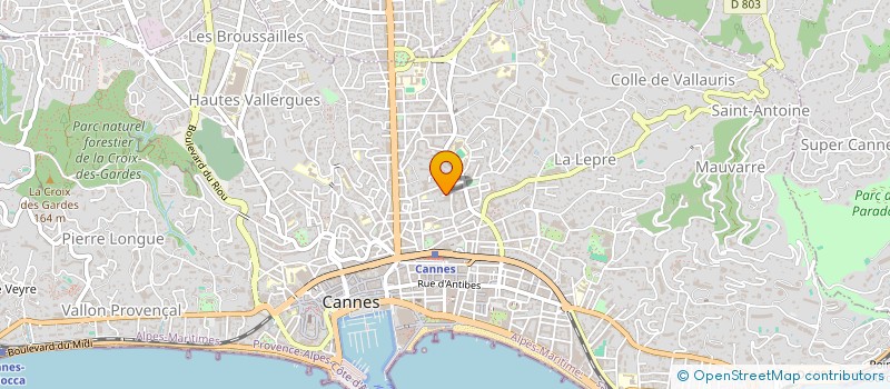 localisation de l'entreprise MONSIEUR LAURENT MEESEMAECKER à CANNES