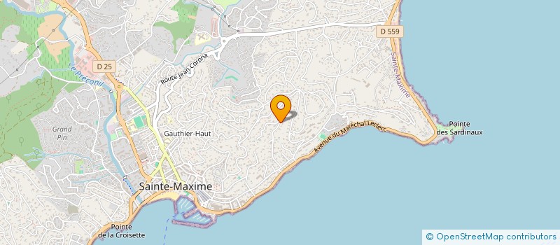 localisation de l'entreprise MONSIEUR LAURENT MINOIS à SAINTE-MAXIME