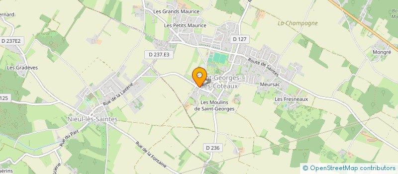 localisation de l'entreprise MONSIEUR LAURENT PACAUD  SAINT-GEORGES-DES-COTEAUX