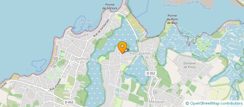 localisation de l'entreprise MONSIEUR LAURENT PELIQUE  MESQUER