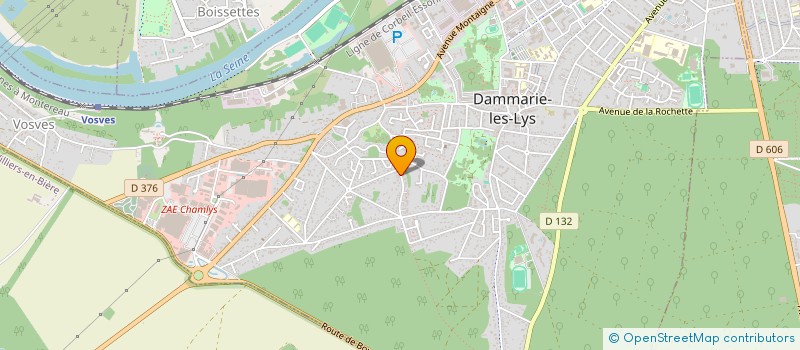 localisation de l'entreprise MONSIEUR LAURENT PELSY JOHANN à DAMMARIE-LES-LYS