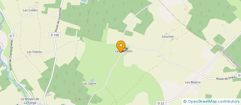 localisation de l'entreprise MONSIEUR LAURENT PESANT  TANNERRE EN PUISAYE