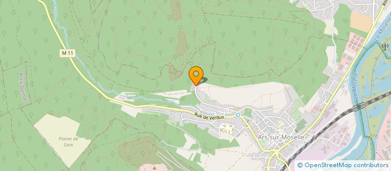 localisation de l'entreprise MONSIEUR LAURENT PINZUTI  ARS-SUR-MOSELLE