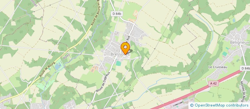 localisation de l'entreprise MONSIEUR LAURENT RACCURT à BRESSOLLES