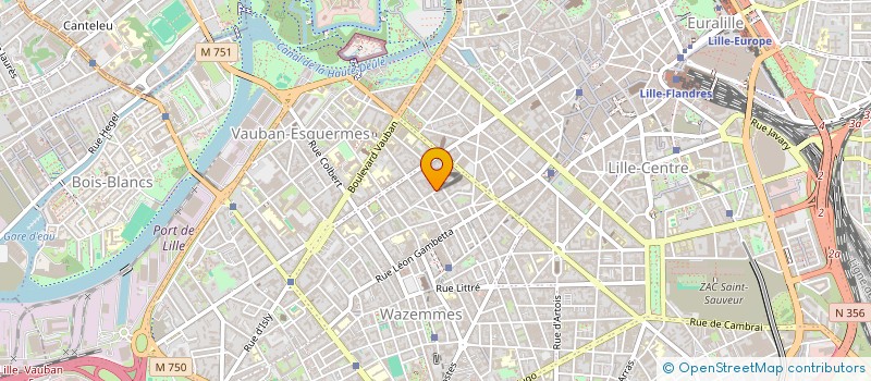 localisation de l'entreprise MONSIEUR LAURENT REMONDI  LILLE