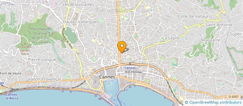 localisation de l'entreprise MONSIEUR LAURENT RENE PIOPPA  CANNES