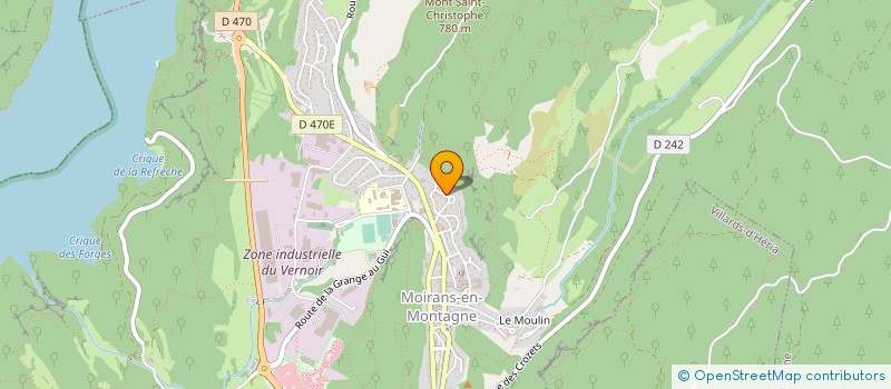 localisation de l'entreprise MONSIEUR LAURENT RICHARD  MOIRANS-EN-MONTAGNE