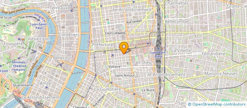 localisation de l'entreprise MONSIEUR LAURENT RICHARD  LYON