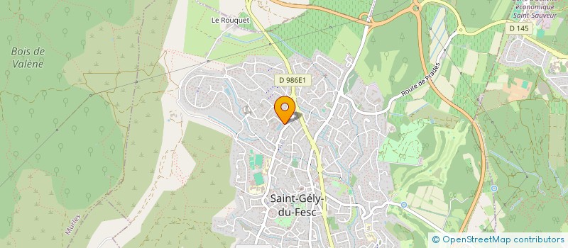 localisation de l'entreprise MONSIEUR LAURENT ROUGIER à SAINT-GELY-DU-FESC