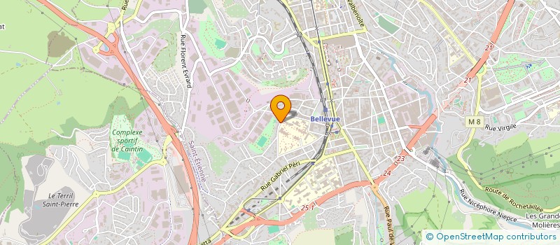 localisation de l'entreprise MONSIEUR LAURENT THOMAS  SAINT-ETIENNE