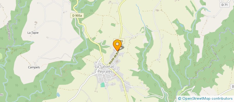 localisation de l'entreprise MONSIEUR LAURENT TIBERGHIEN  LA SALVETAT-PEYRALES