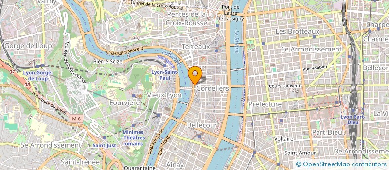 localisation de l'entreprise MONSIEUR LAURENT VENET  LYON