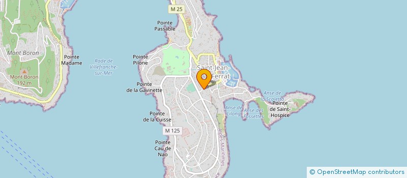 localisation de l'entreprise MONSIEUR LAURENT VERMEIL  SAINT-JEAN-CAP-FERRAT