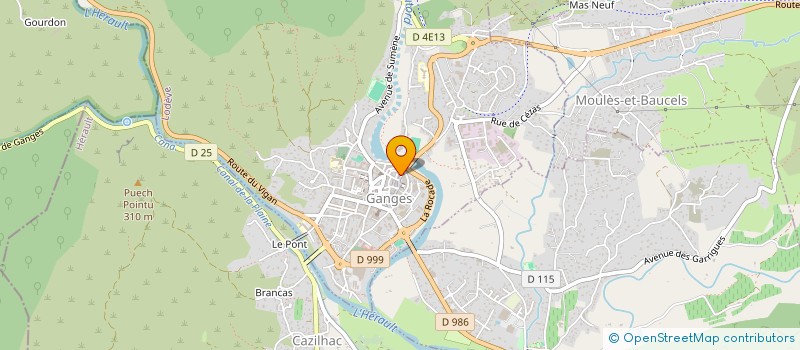 localisation de l'entreprise MONSIEUR LAURINCE NKUMU OMBALE  GANGES