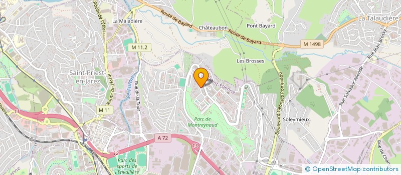 localisation de l'entreprise MONSIEUR LAYACHI BELMESSAOUD  SAINT-ETIENNE