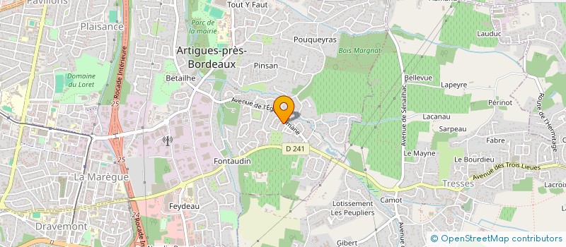 localisation de l'entreprise MONSIEUR LAZARE NTONDO  ARTIGUES-PRES-BORDEAUX