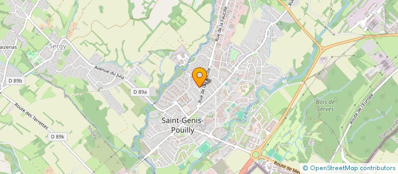 localisation de l'entreprise MONSIEUR LE GONG à SAINT-GENIS-POUILLY
