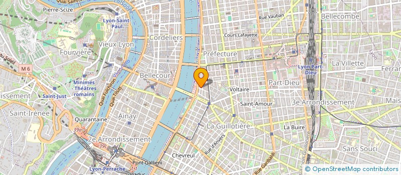 localisation de l'entreprise MONSIEUR LEANDRO FERNANDEZ  LYON