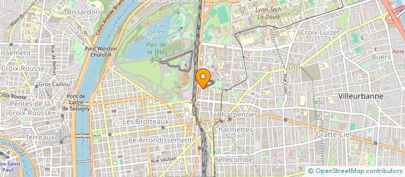 localisation de l'entreprise MONSIEUR LEANDRO GUBLER  VILLEURBANNE