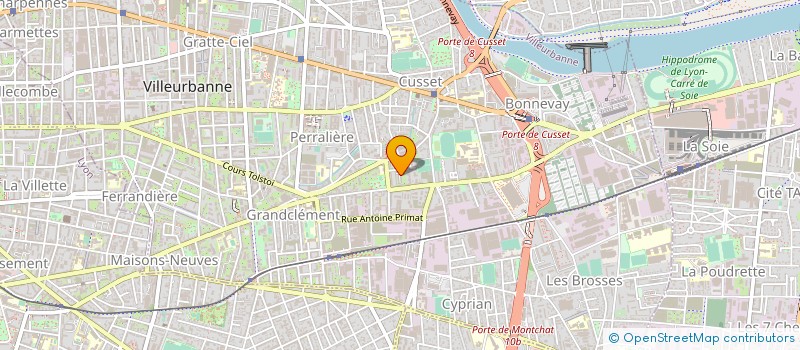 localisation de l'entreprise MONSIEUR LEMI PEREIRA  VILLEURBANNE