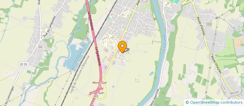 localisation de l'entreprise MONSIEUR LEMUEL TARIN  MURET
