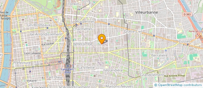 localisation de l'entreprise MONSIEUR LENNY MARTINS  VILLEURBANNE