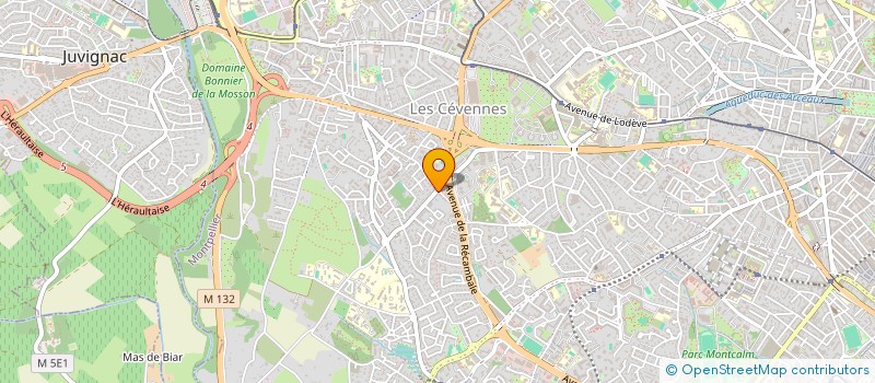 localisation de l'entreprise MONSIEUR LENNY RAYA  MONTPELLIER