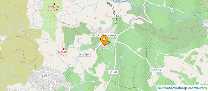 localisation de l'entreprise MONSIEUR LENY DELMAS  LIEURAN-CABRIERES