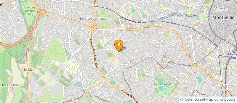 localisation de l'entreprise MONSIEUR LEO ANTOINE à MONTPELLIER